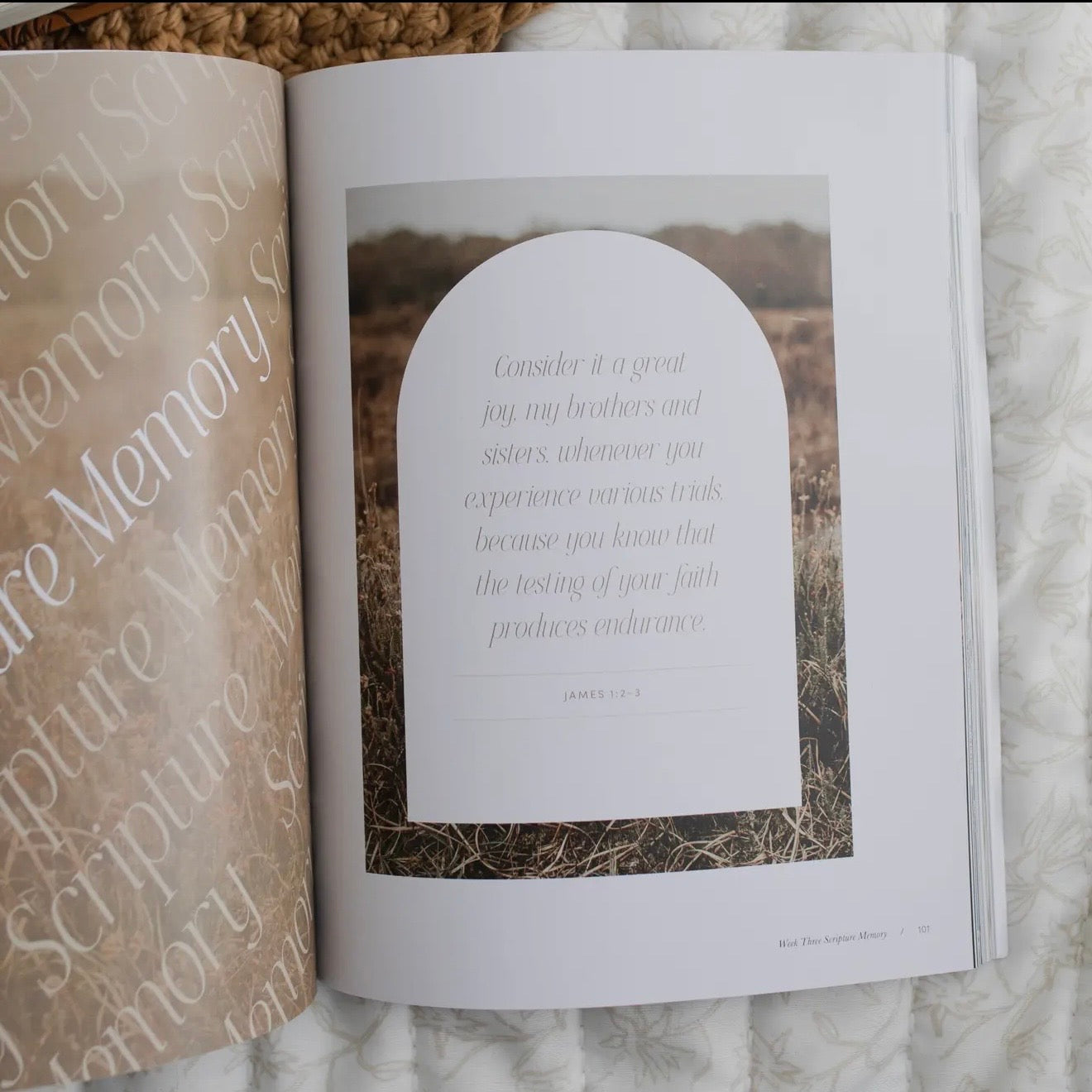 Sacred Suffering | A Study On the Book of Job