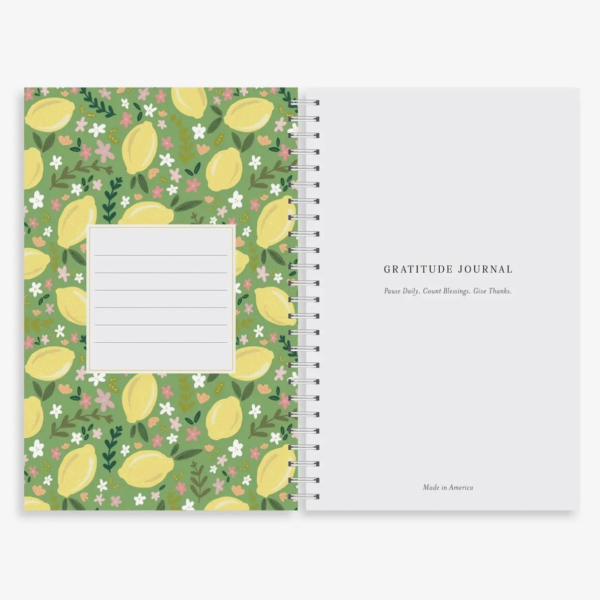 Gratitude Journal | Pink Gingham