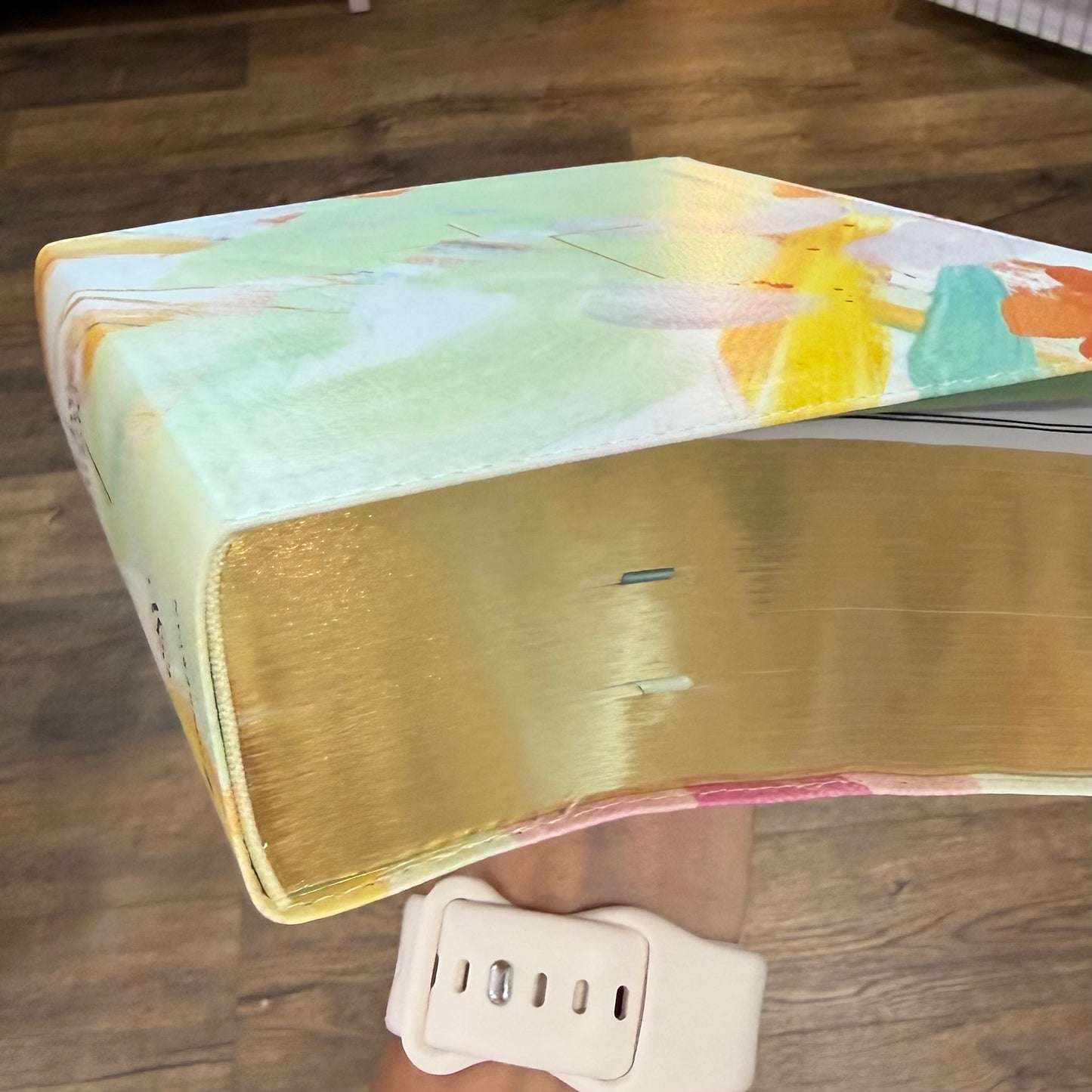 The Jesus Bible | ESV Artist Edition