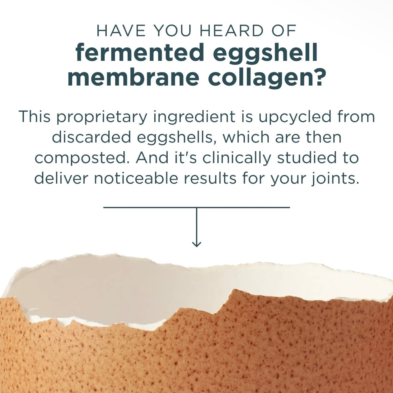 Multi Collagen Protein | Powder Unflavored (24 Servings)