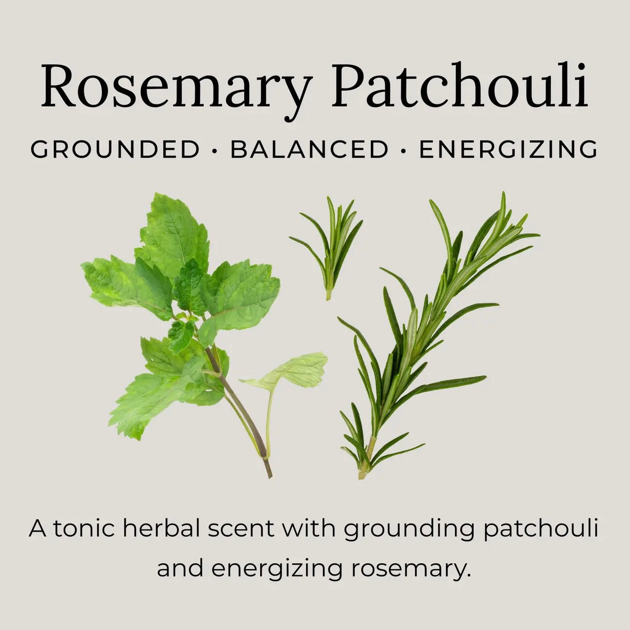 Little Seed Farm Natural Deodorant Cream | Rosemary Patchouli