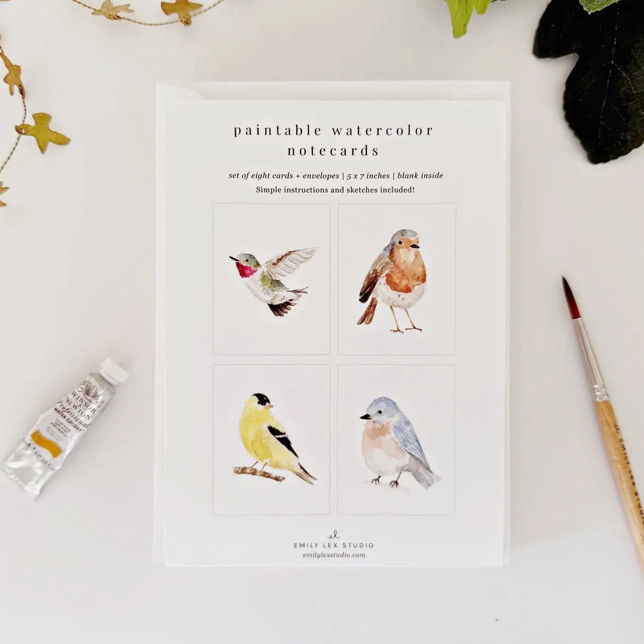 Paintable Watercolor
Notecard Set
 | Birds