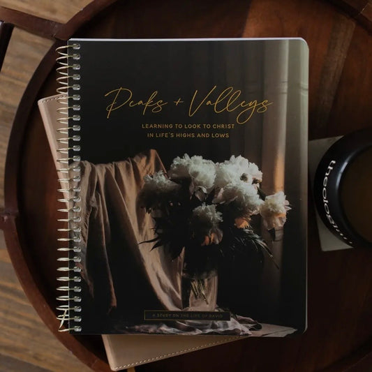Peaks and Valleys: Learning To Look To Christ in Life's Highs and Lows | A Study On the Life of David