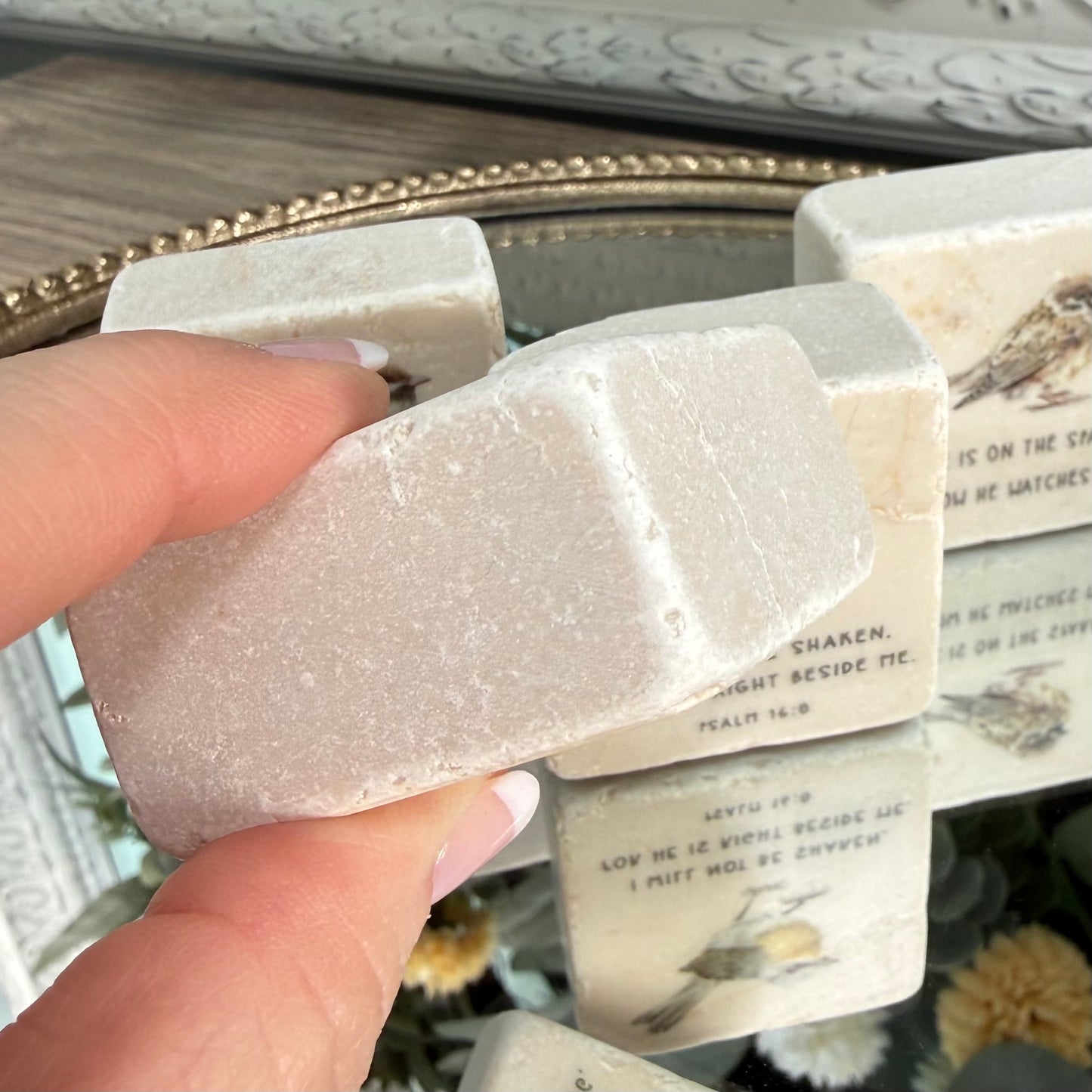 Scripture Stones | Birds