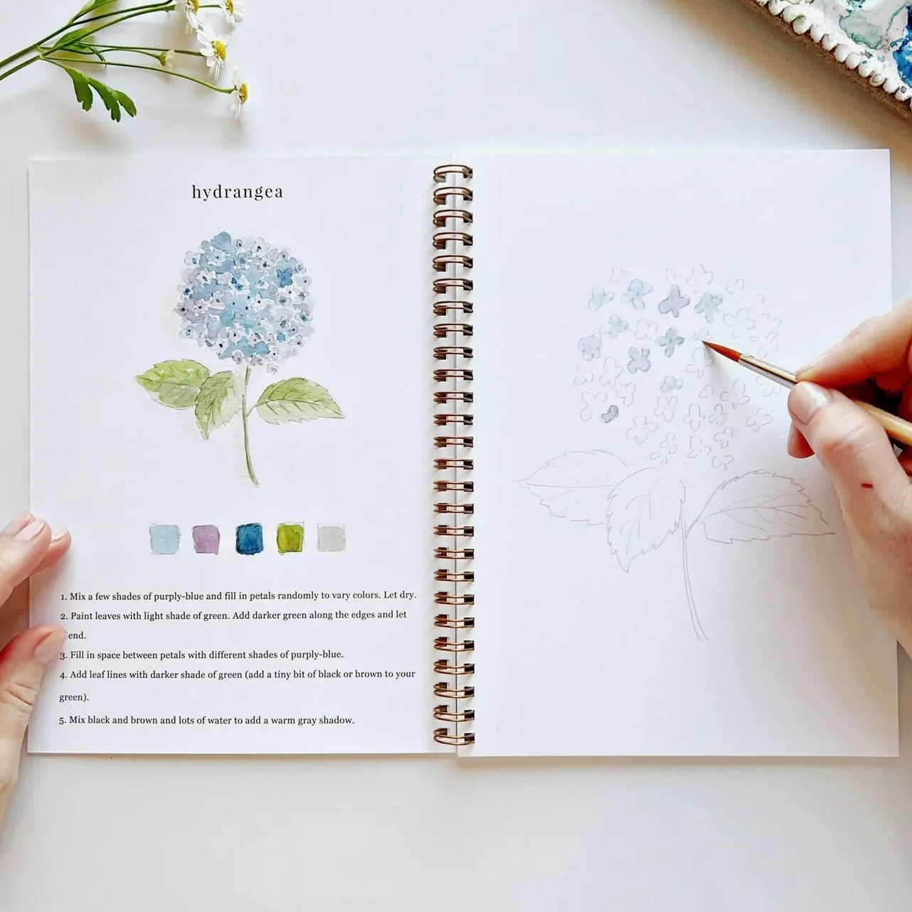 Watercolor Workbook | Flowers