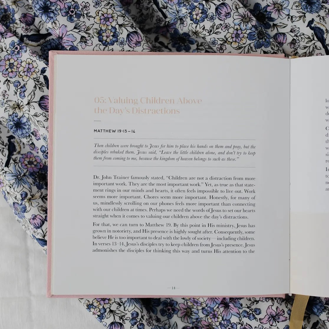 Steadfast Motherhood | 60 Days of Abiding In Christ Devotional