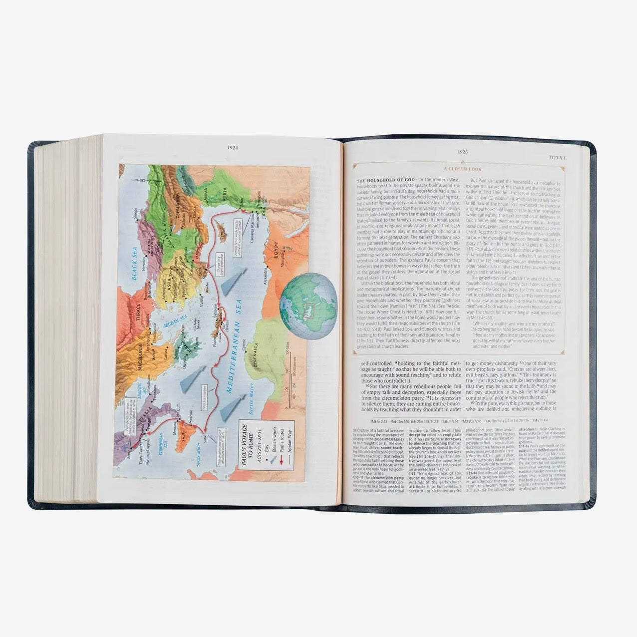 CSB Women's Study Bible | Versailles
