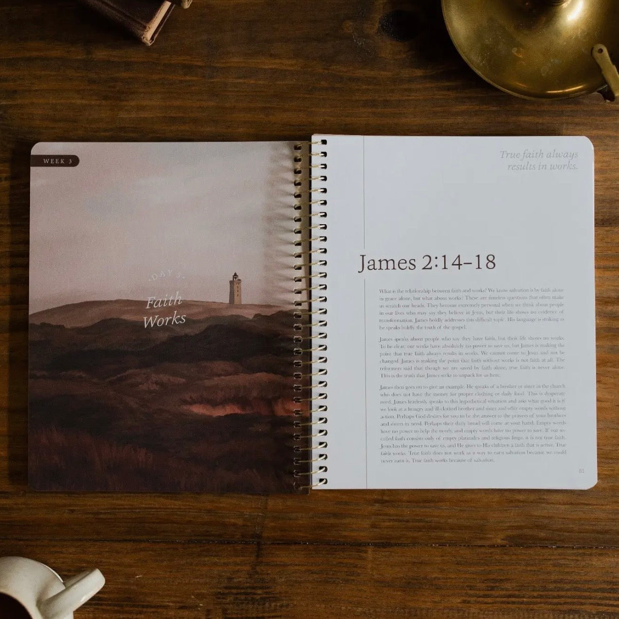 Bible Study | James - The Steadfast Life