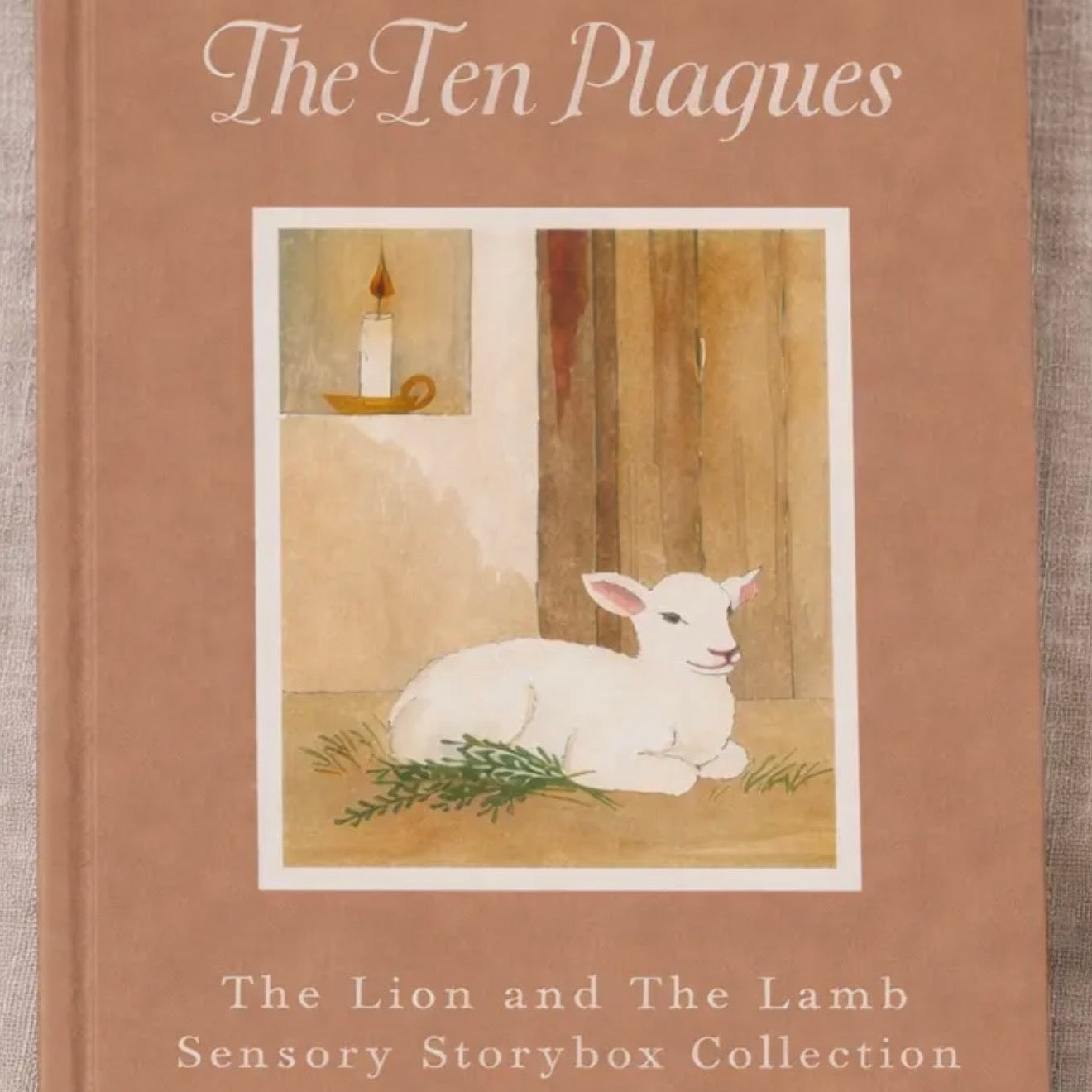 Sensory Storybox | The Ten Plagues