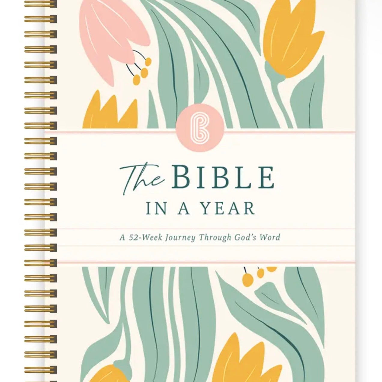 The Bible in A Year: A 52-Week Study