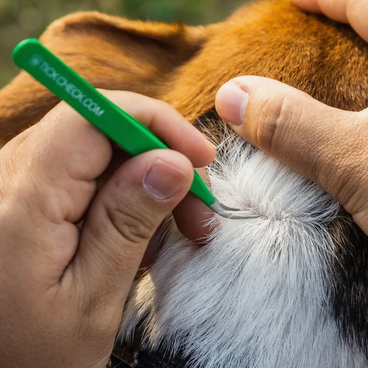 TickCheck Premium Tick
Remover Kit