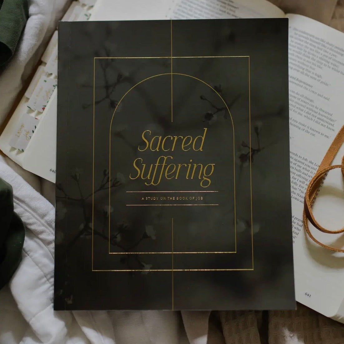 Sacred Suffering | A Study On the Book of Job