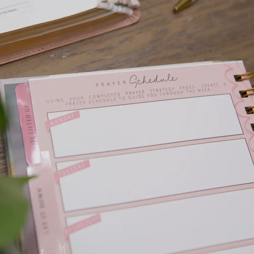 Prayer Journal | New Mercies