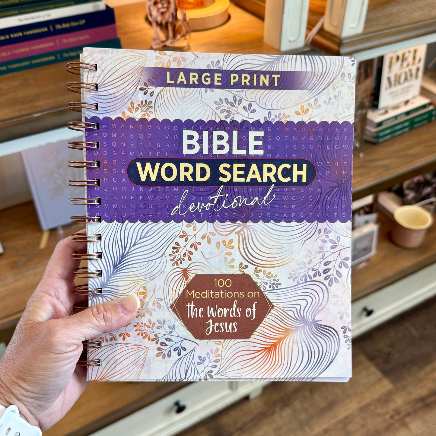 Bible Word Search | 100 Meditations On the Words of Jesus