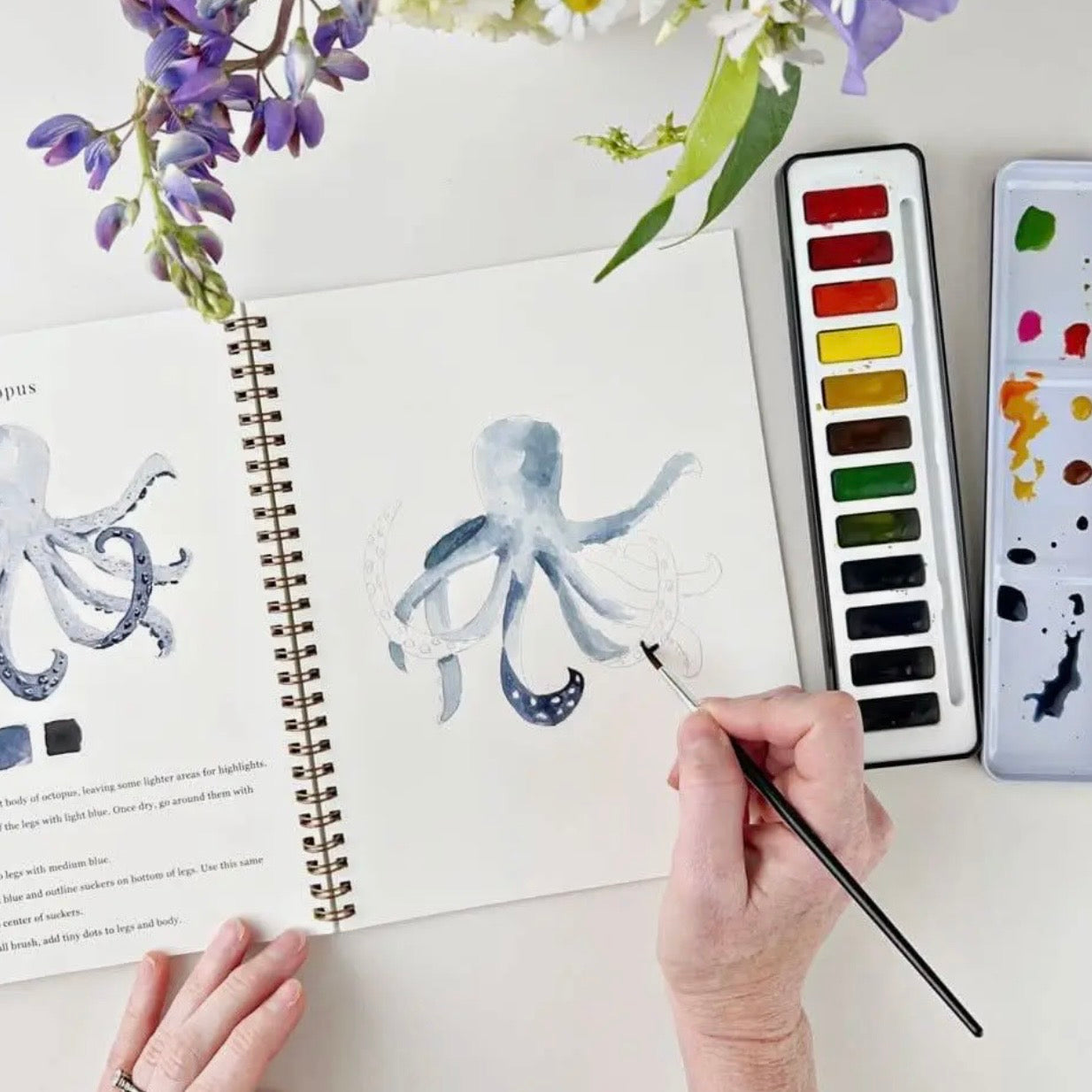 Watercolor Paint Set | 12 Colors