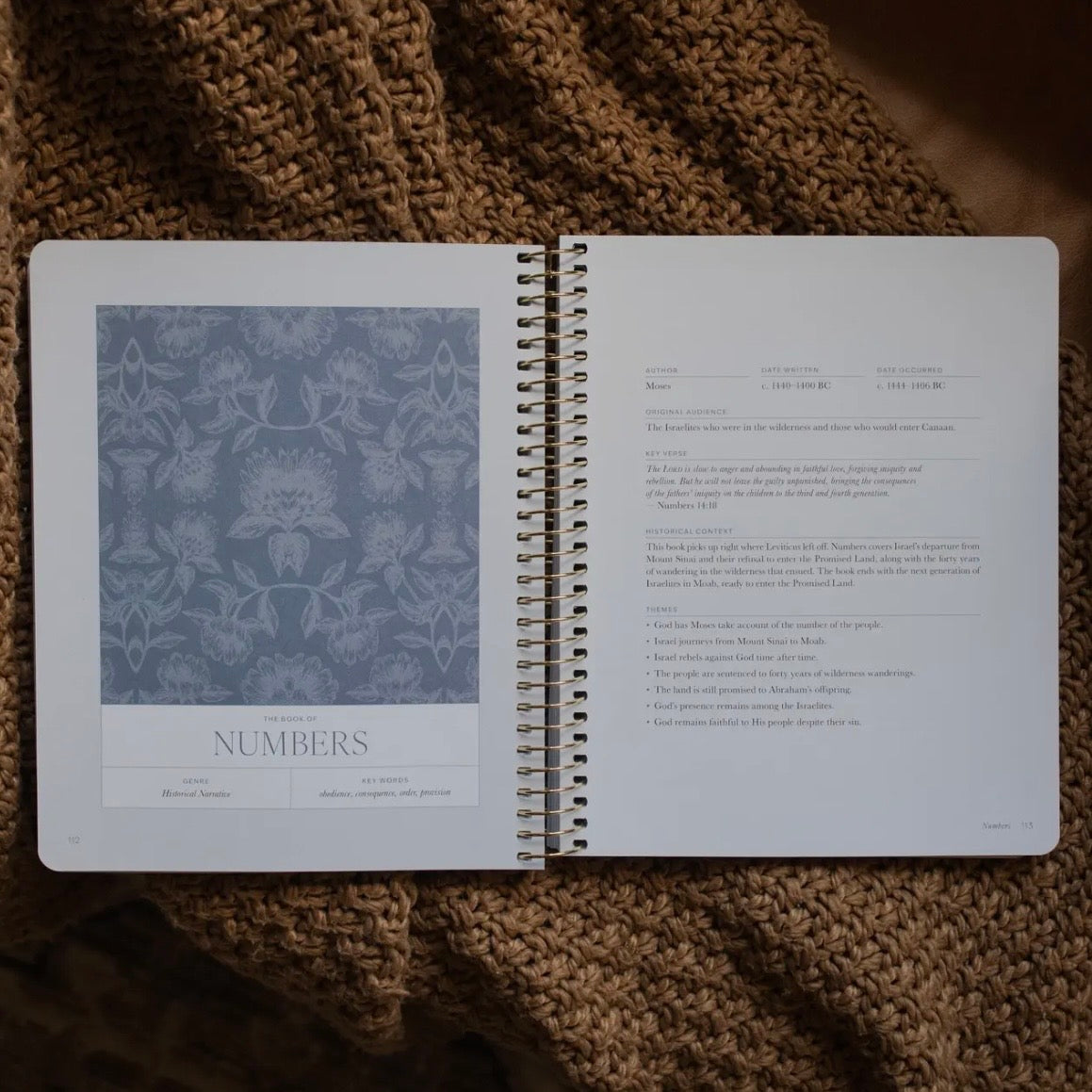 Bible Study | A Year In The Bible - Volume 1