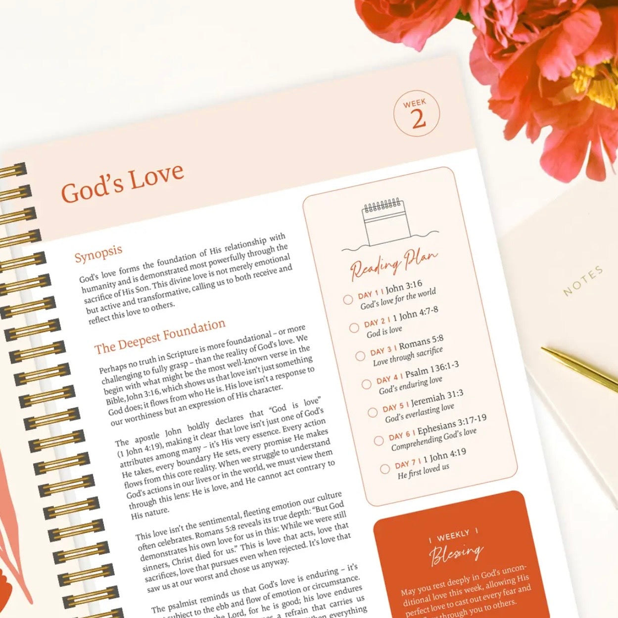 The Bible in A Year: A 52-Week Study