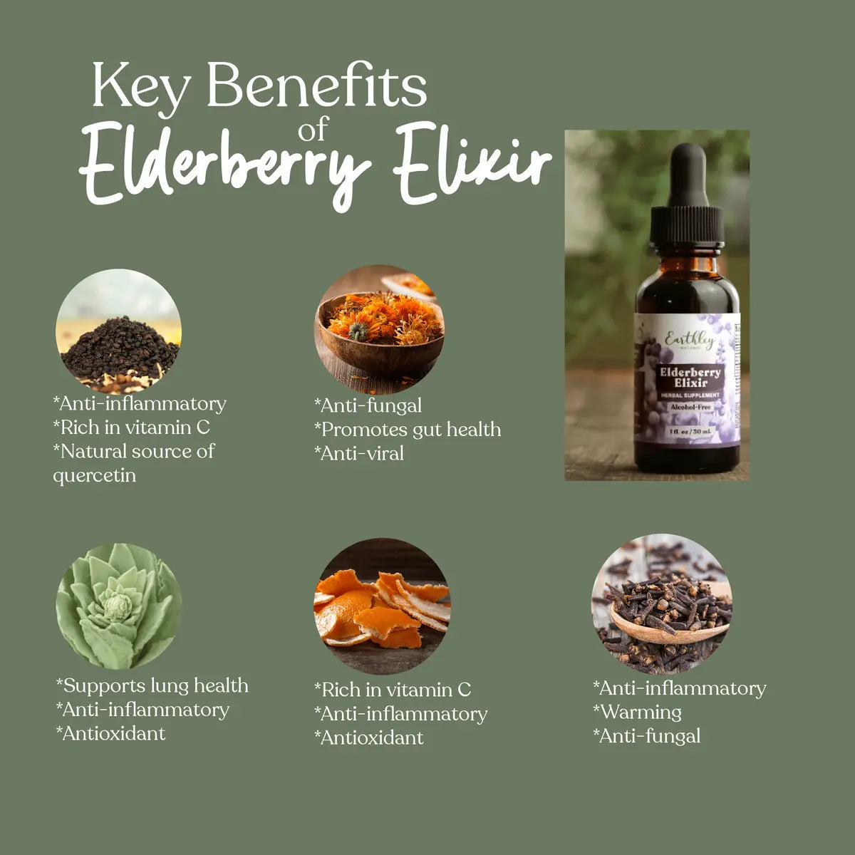 Earthley | Elderberry Elixir 2oz