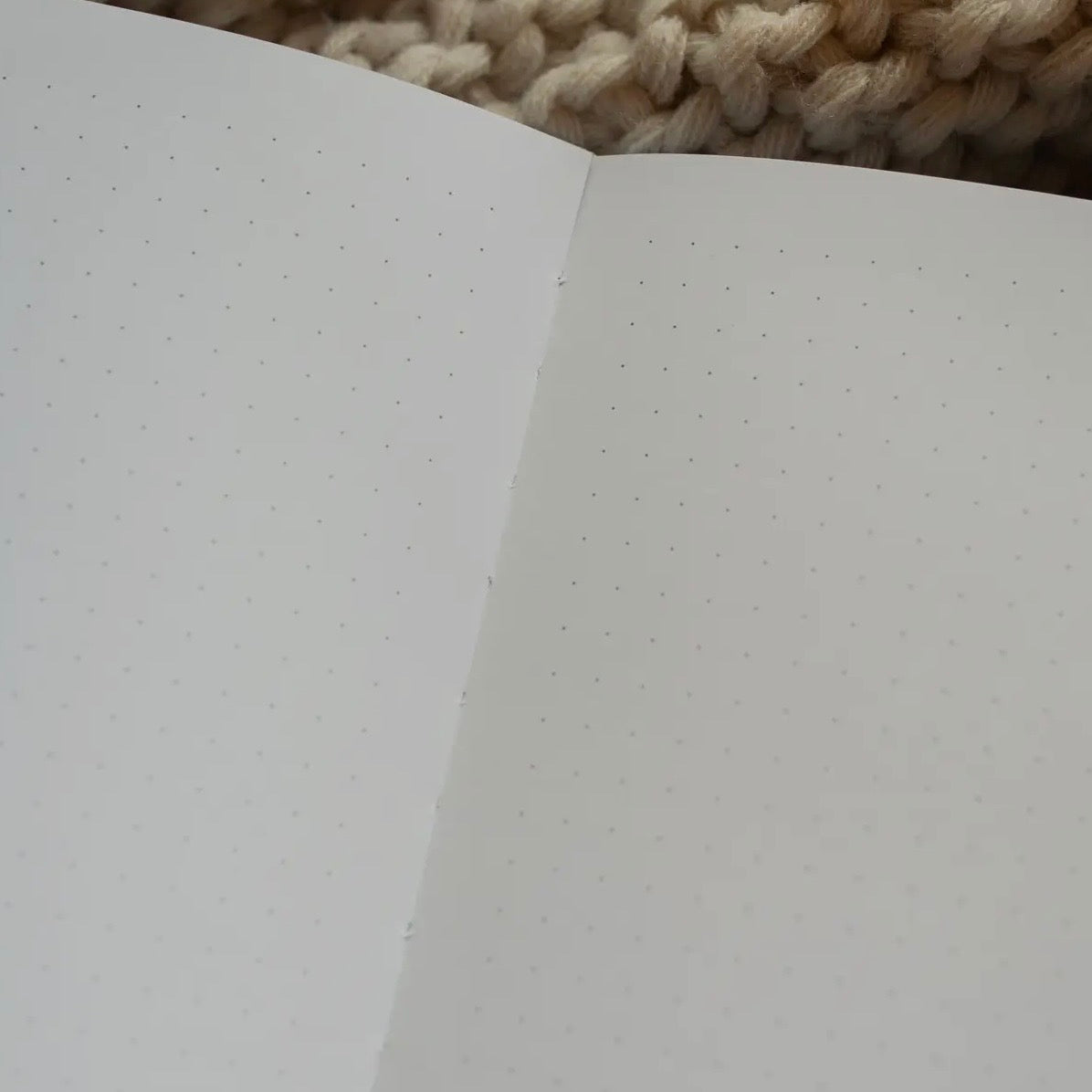 Psalm 121 Dotted Journal