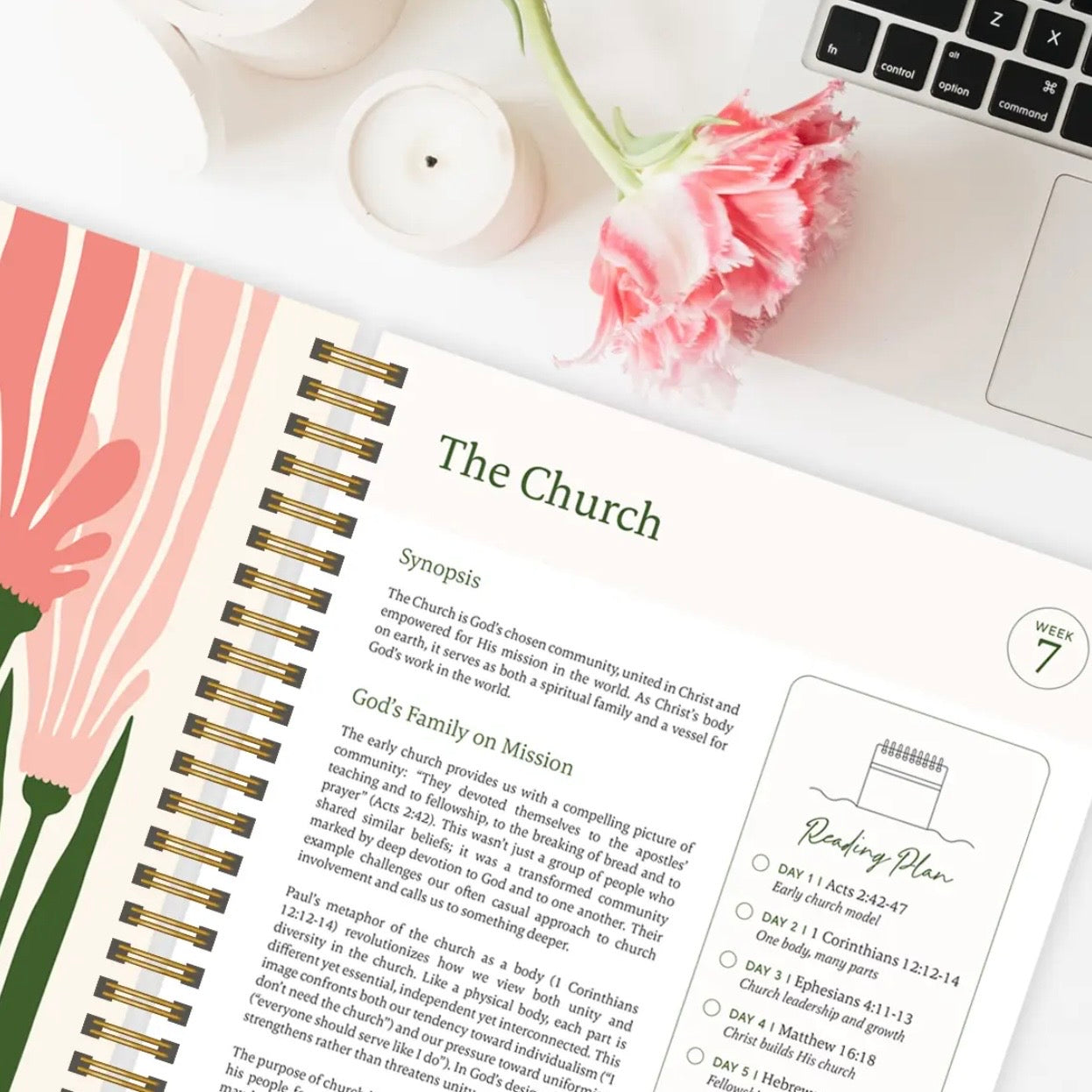 The Bible in A Year: A 52-Week Study