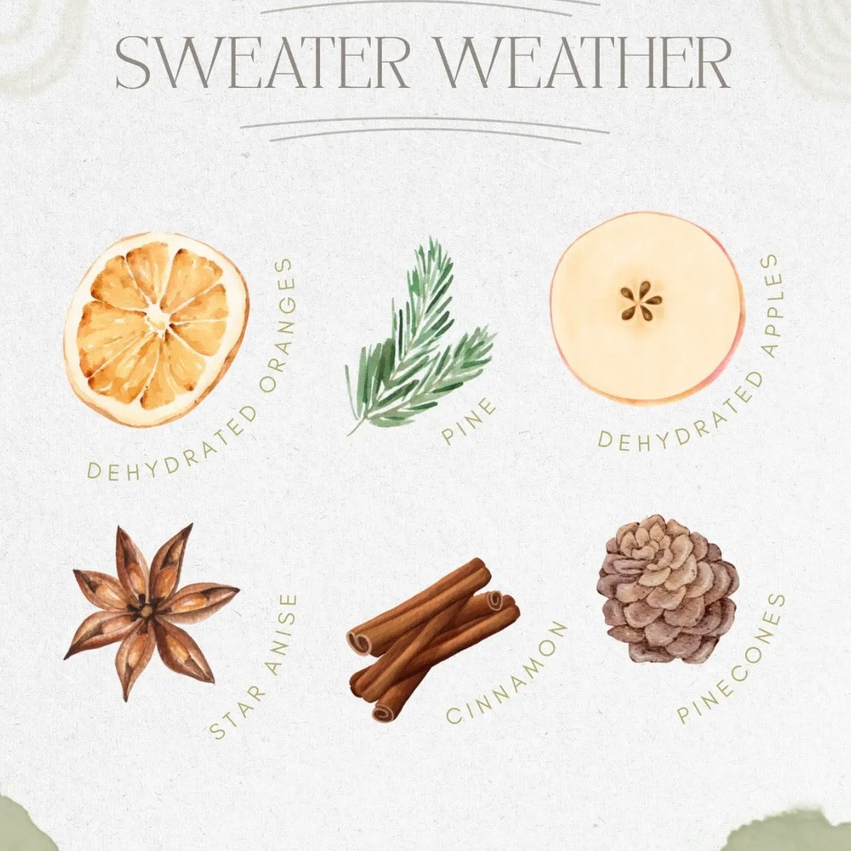 Simmer Pot | Sweater Weather