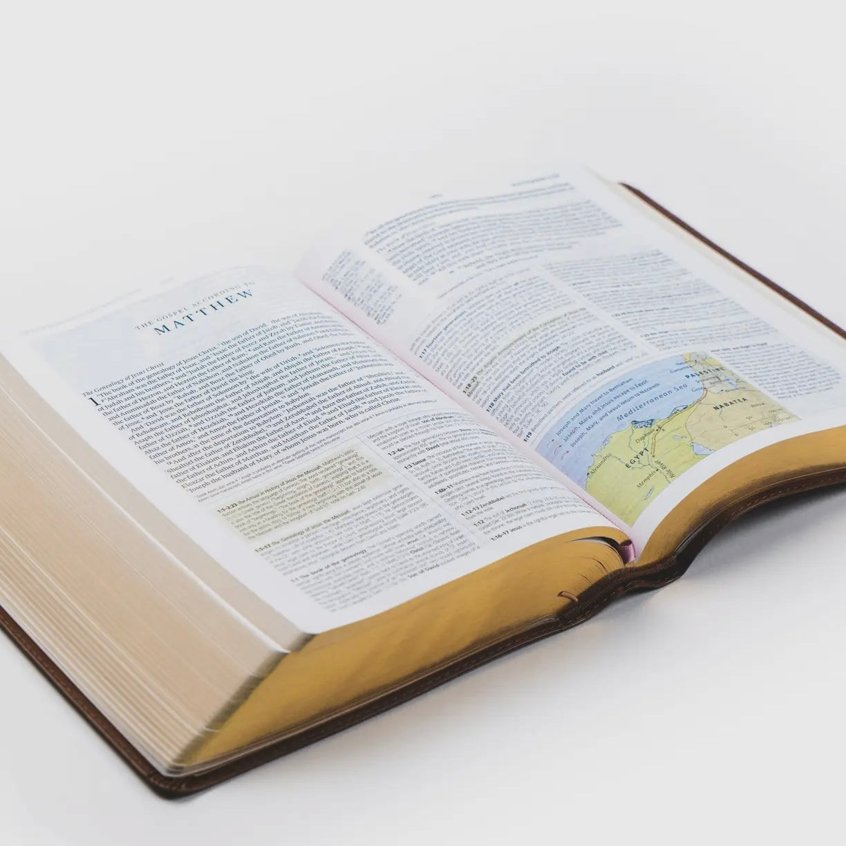 ESV Study Bible | Aurora