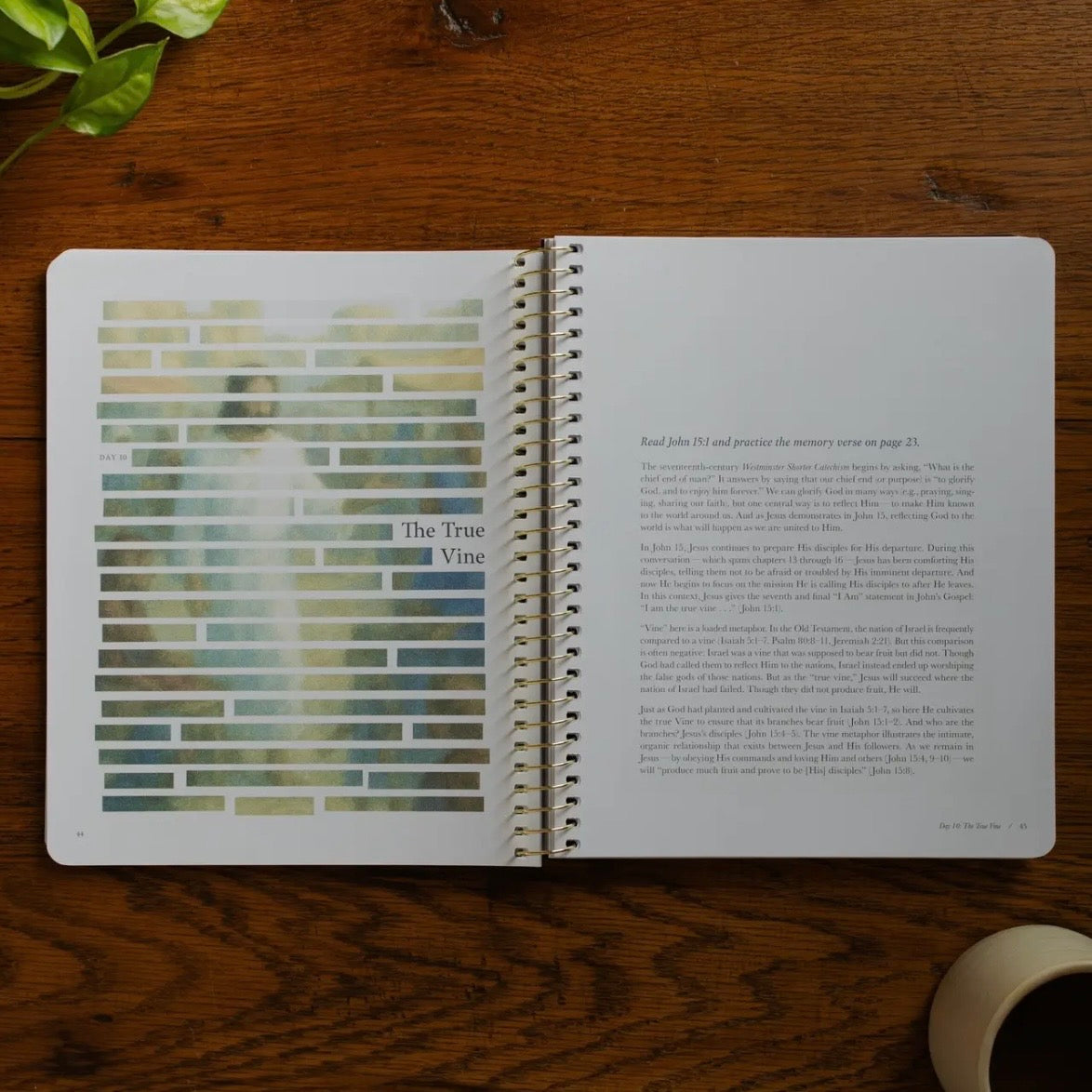 Bible Study | Forty Sayings of Jesus