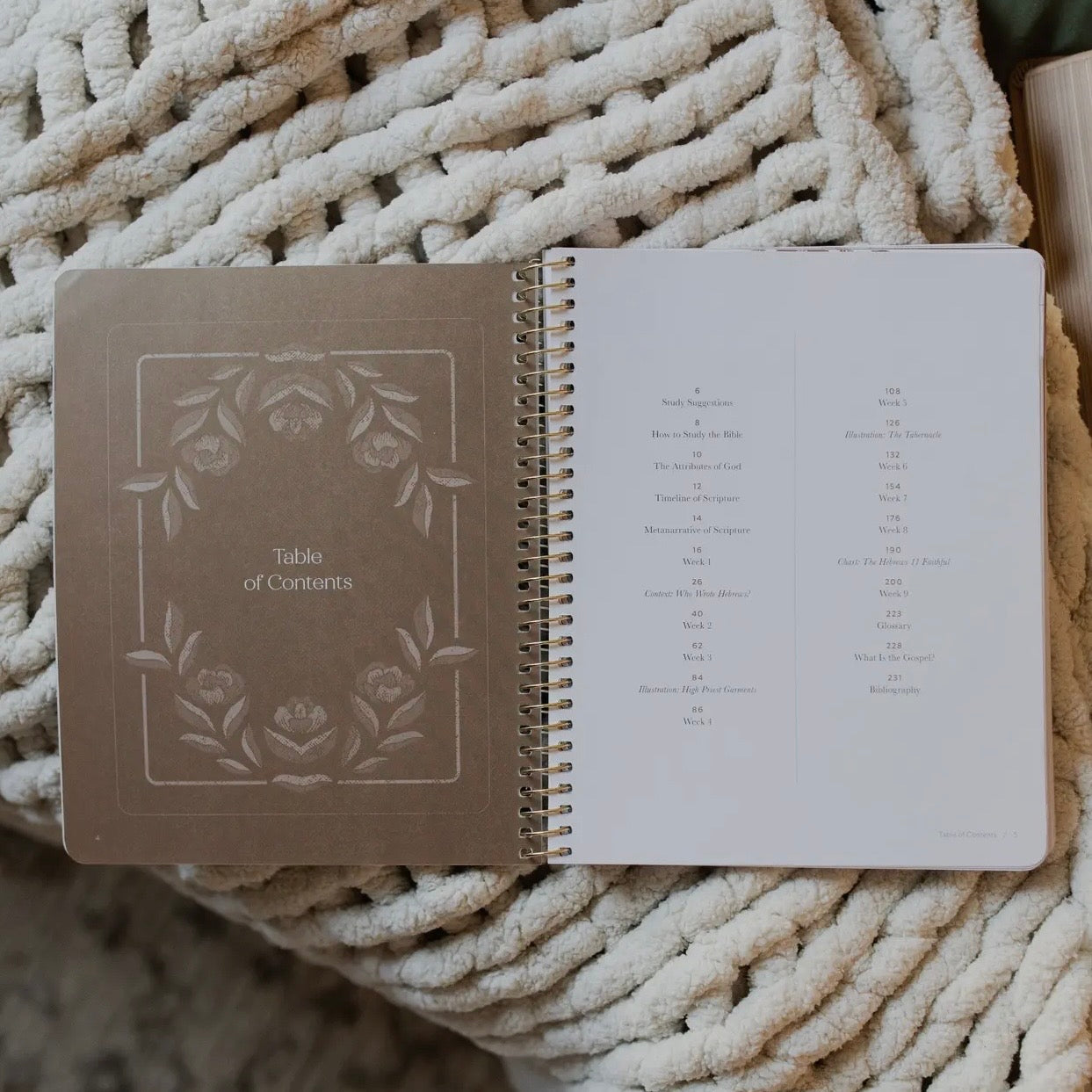 Jesus Is Better: Living For the One Who Is Worthy | A Study On the Book of Hebrews