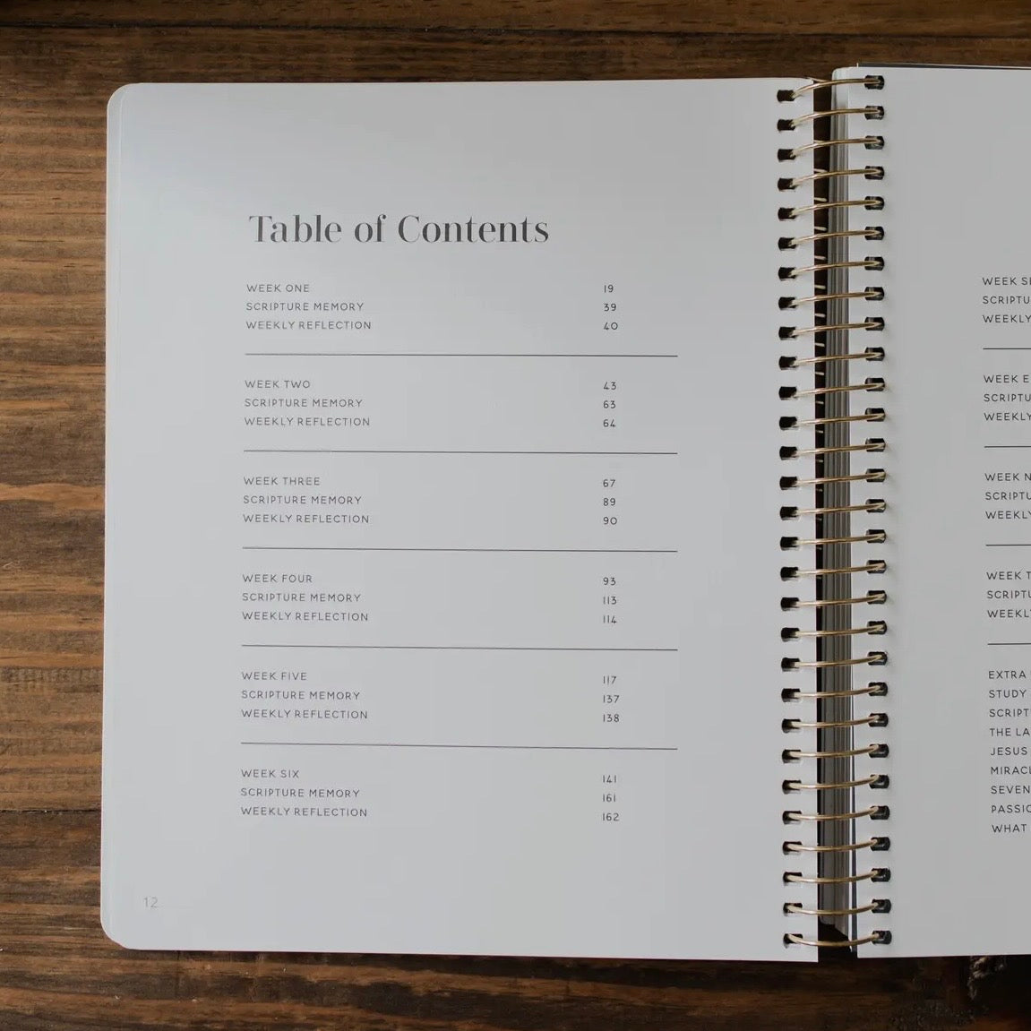 Come and See | An Invitation To Know and Trust Jesus More Than Ever Before