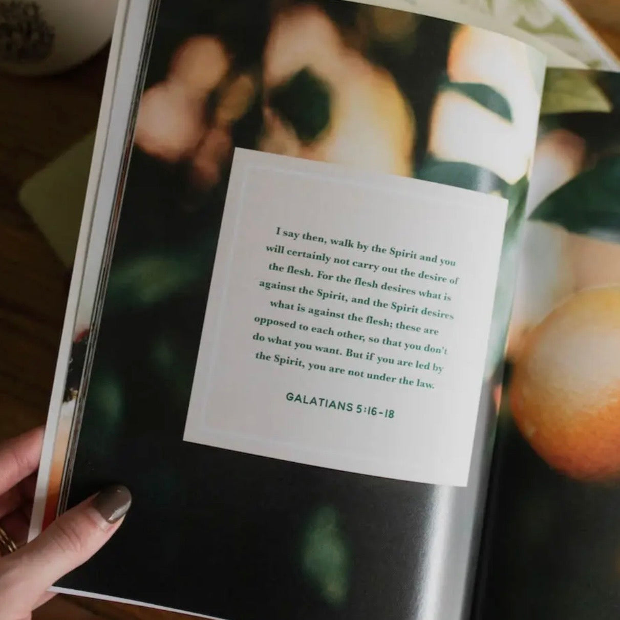 Bible Study | The Fruit of the Spirit