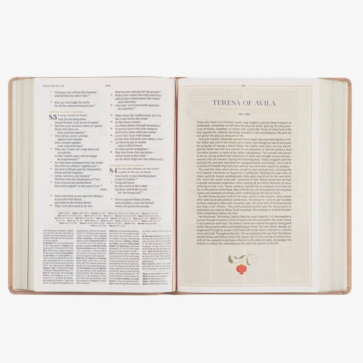 CSB Women's Study Bible | Sonora