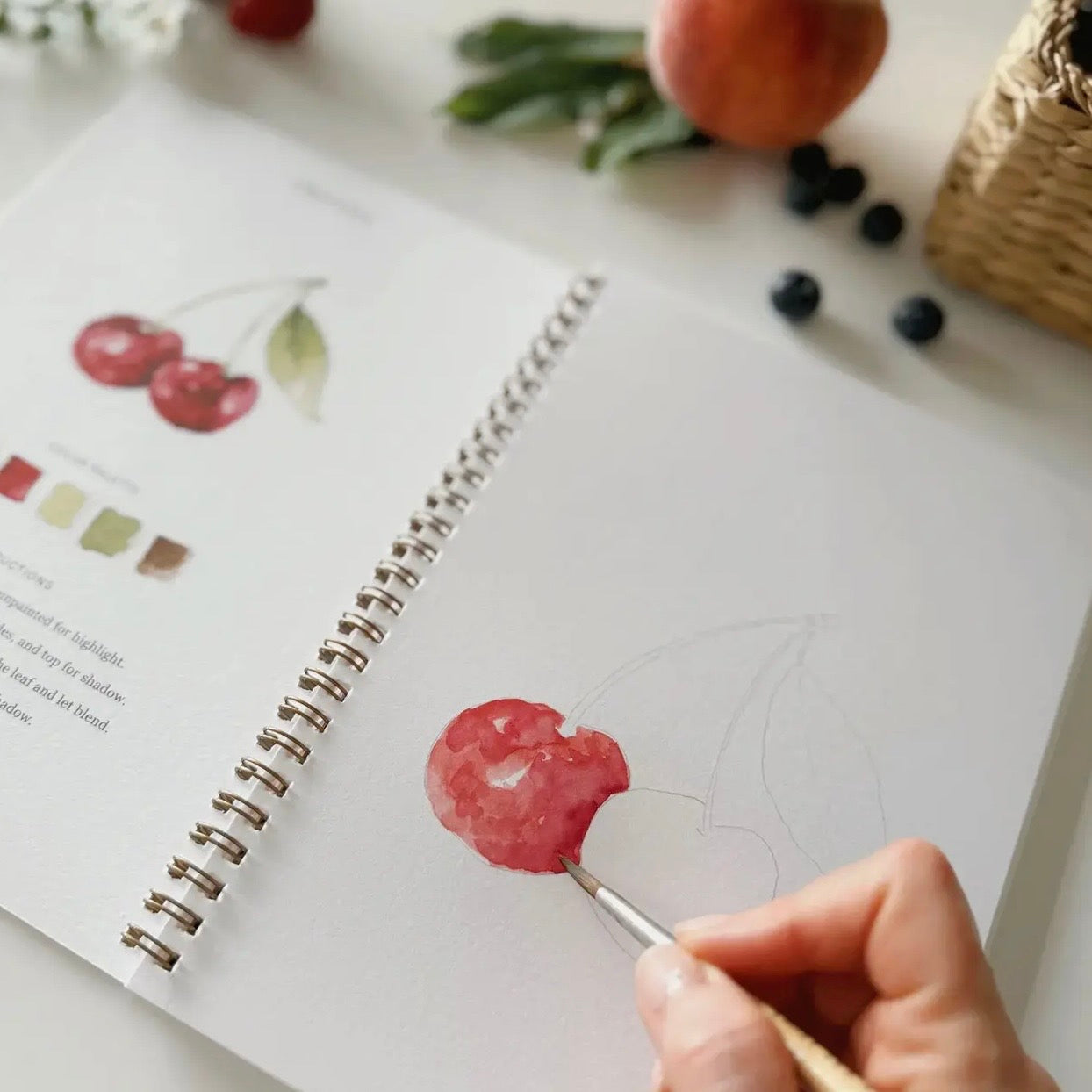 Watercolor Workbook | Fruit