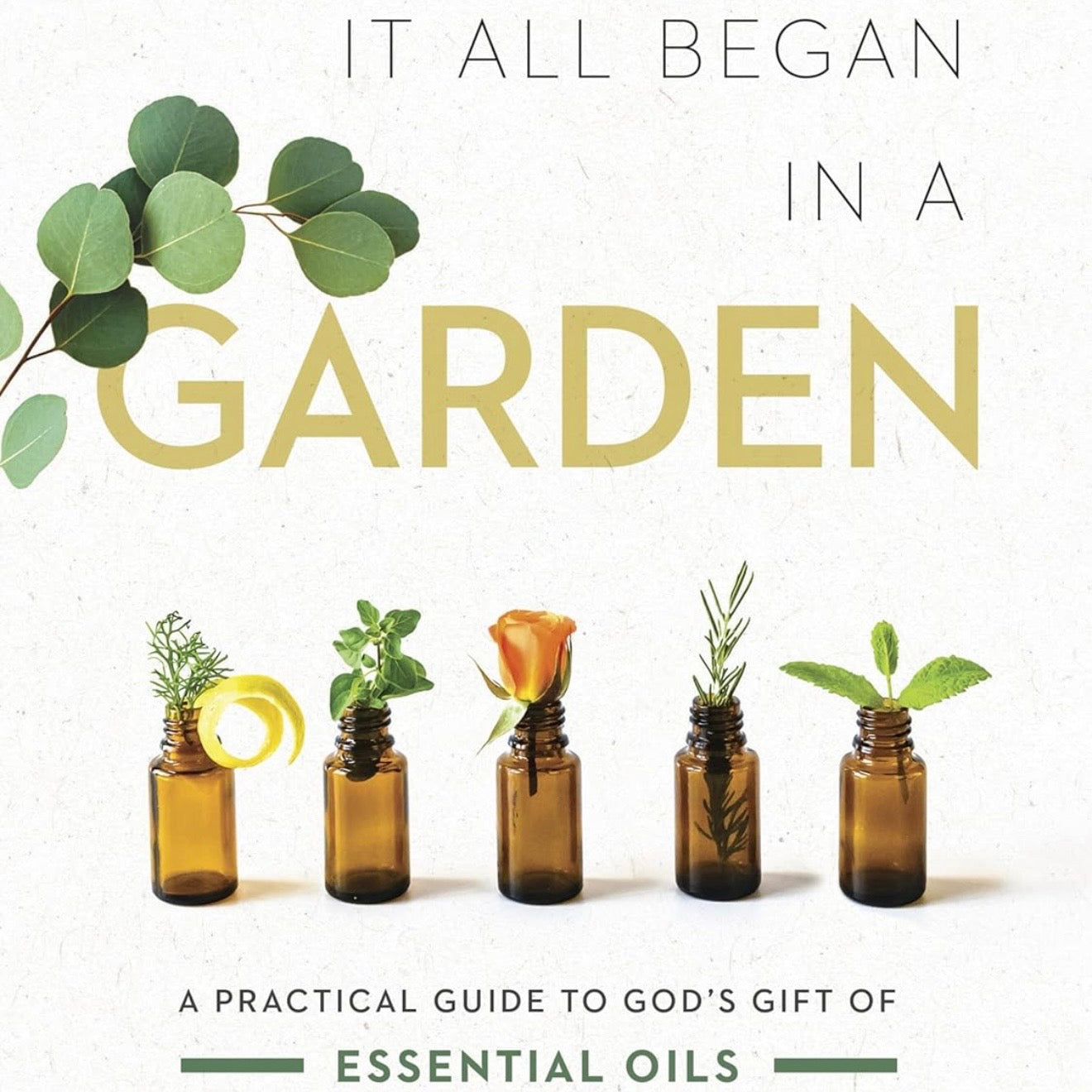 It All Began in a Garden: A Practical Guide to God’s Gift of Essential Oils