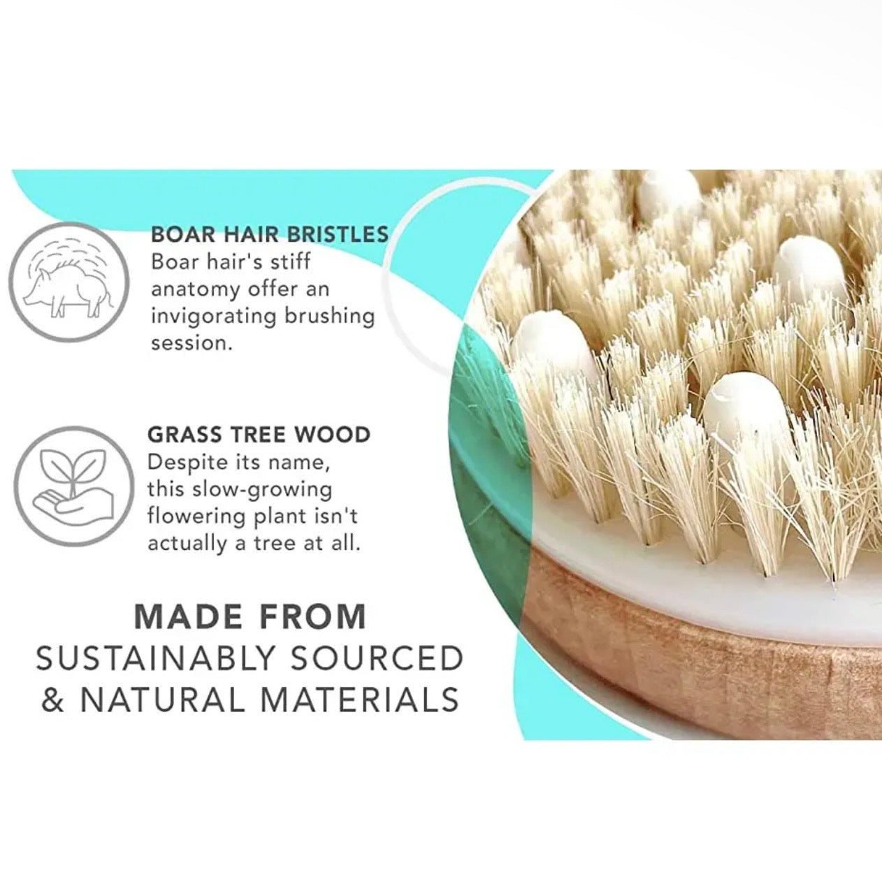 Dry Brushing Body Brush with Cellulite Massager