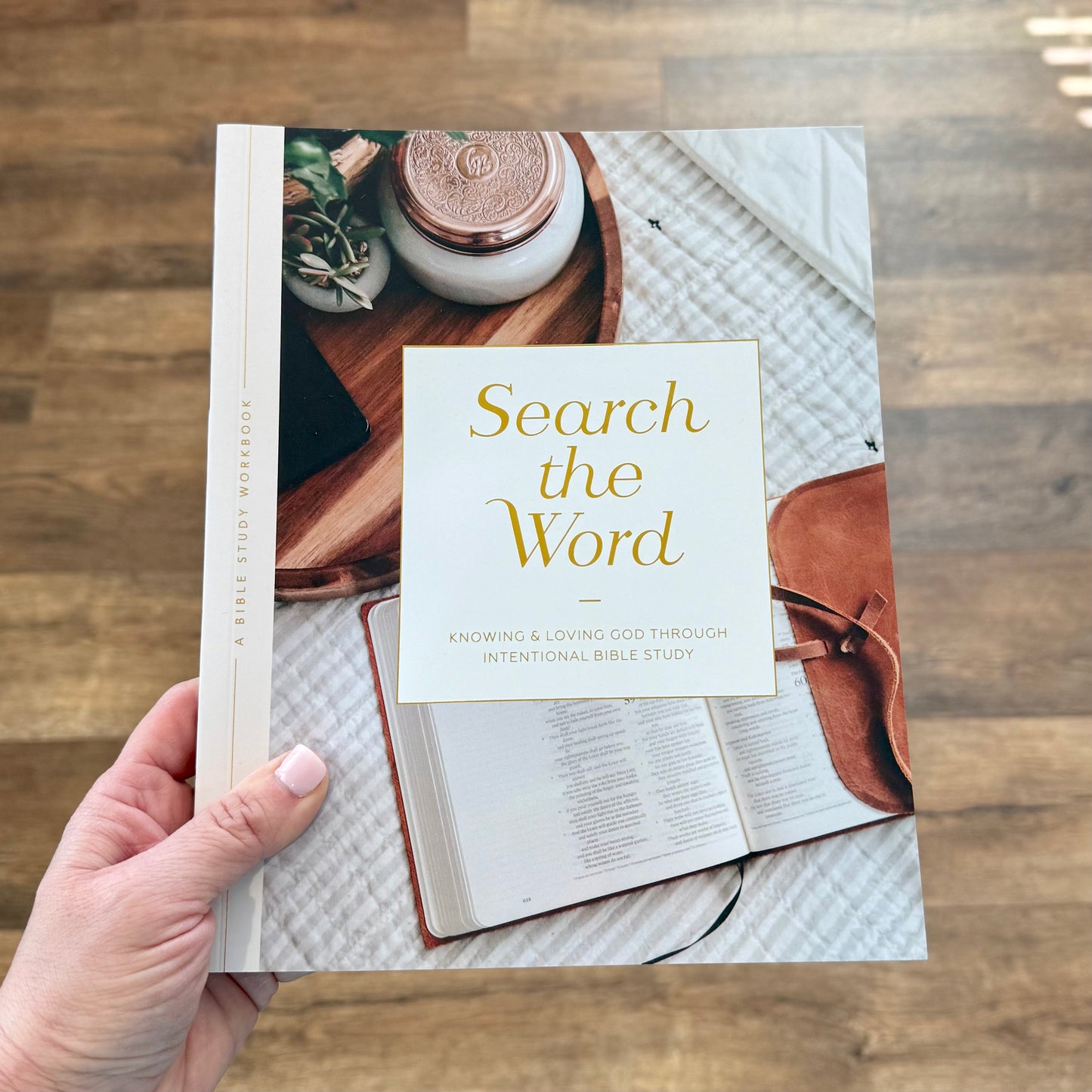 Bible Study - Search The Word