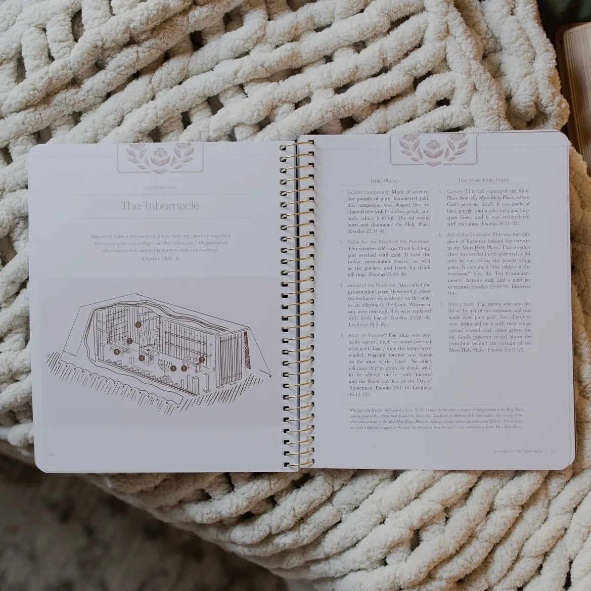 Jesus Is Better: Living For the One Who Is Worthy | A Study On the Book of Hebrews