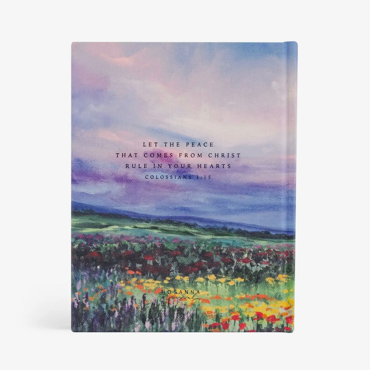 NLT Notetaking Bible | Cana