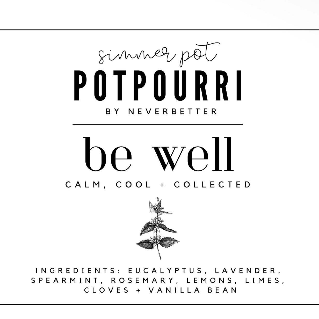 Simmer Pot Mix | Be Well