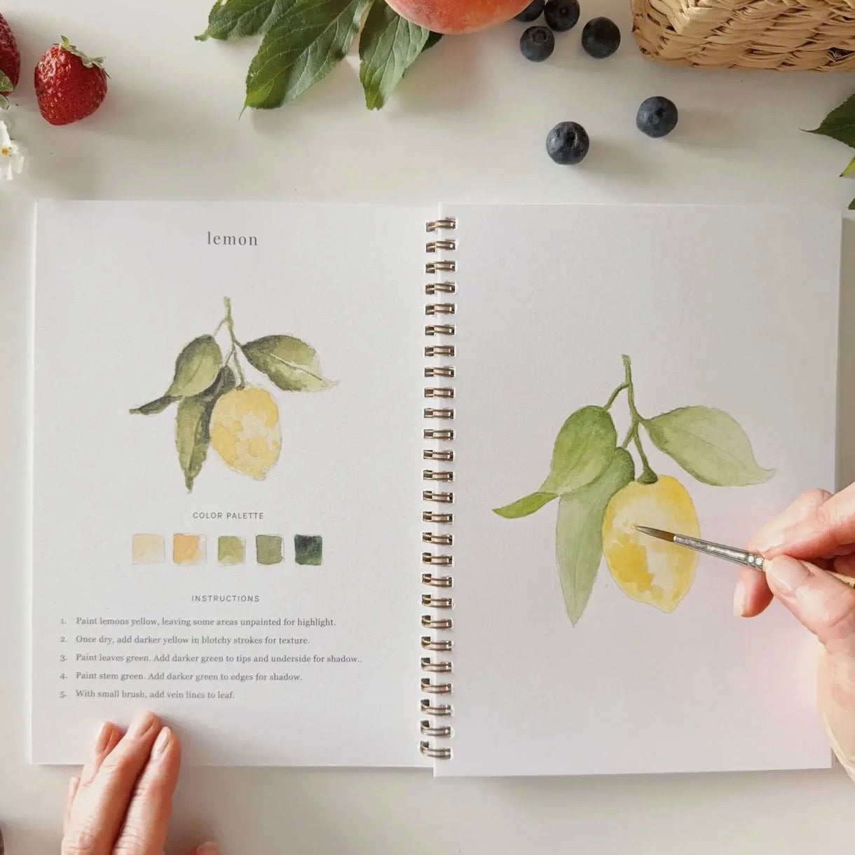Watercolor Workbook | Fruit