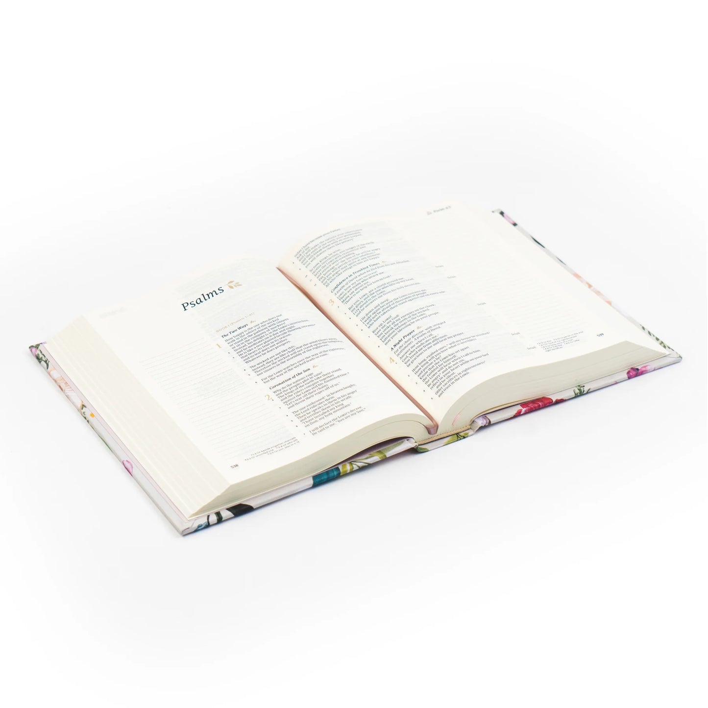 Charlotte CSB Notetaking Bible