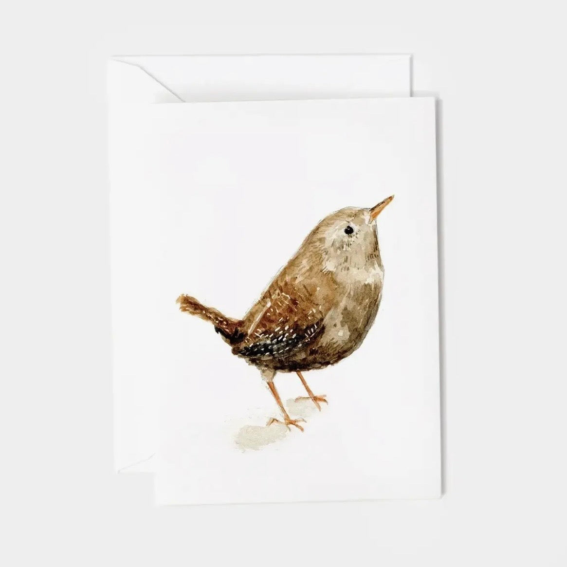 Mini Enclosure Notecard | Assorted