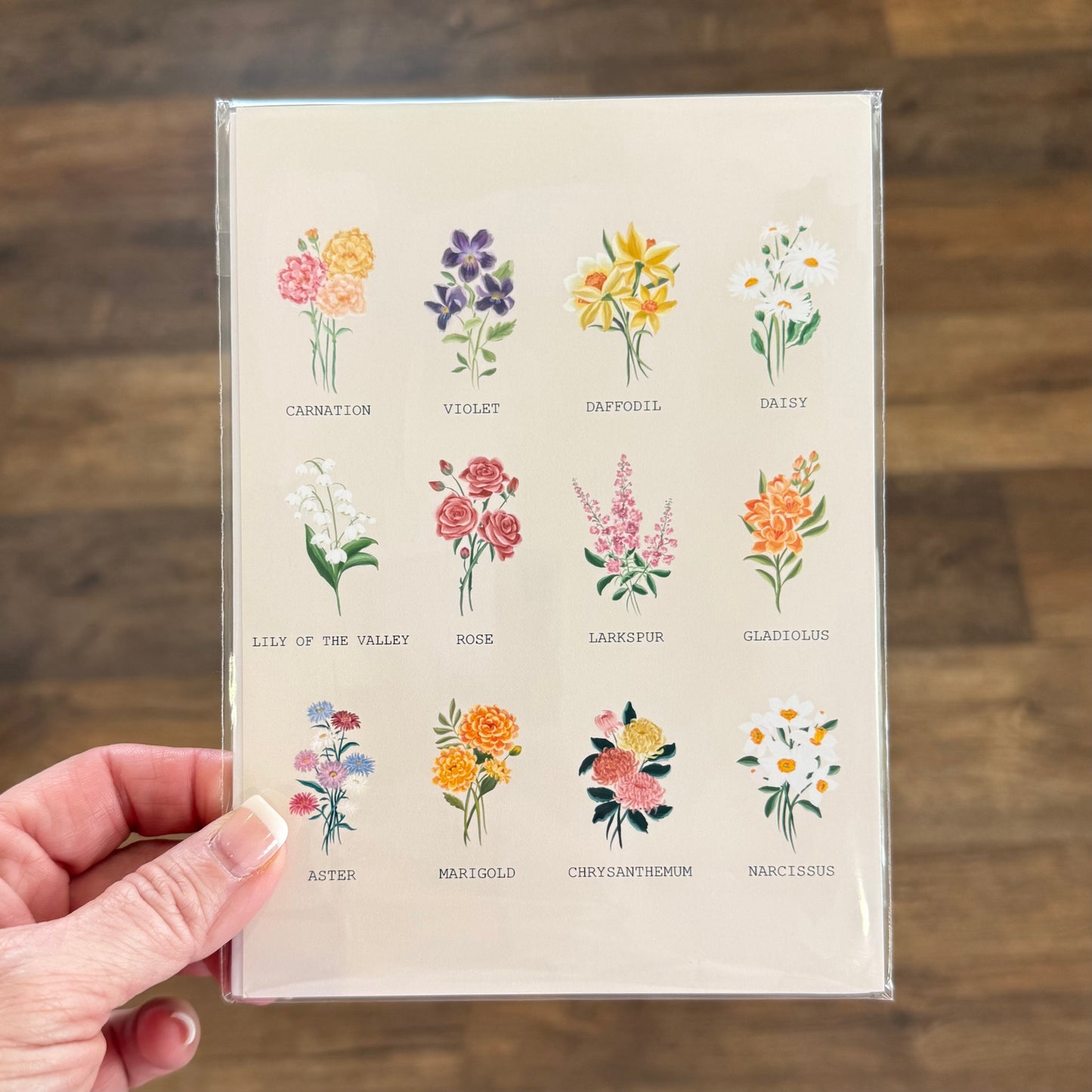 5x7 Scripture Print | Assorted