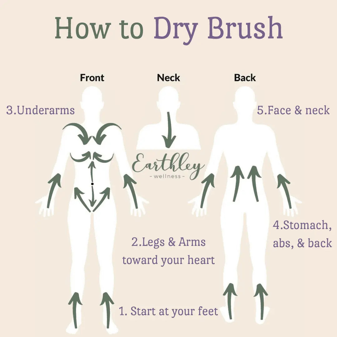 Earthley | Lymphatic Cream 4oz