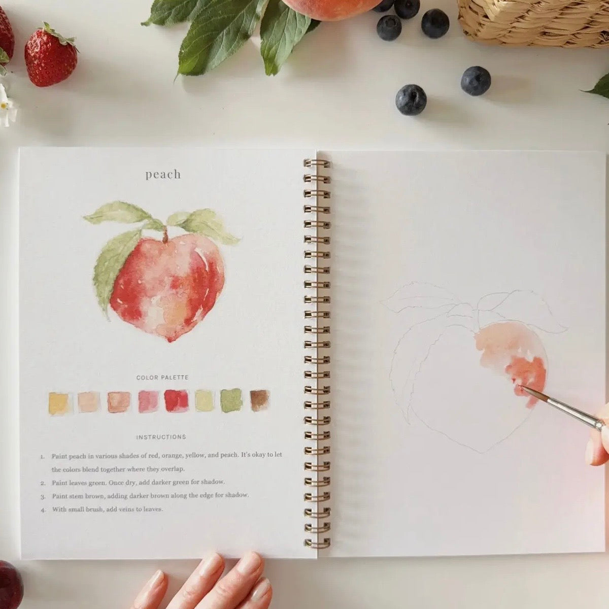 Watercolor Workbook | Fruit