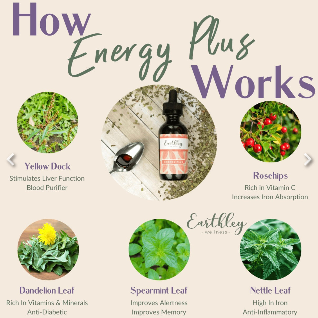 Earthley | Energy Plus Oil
