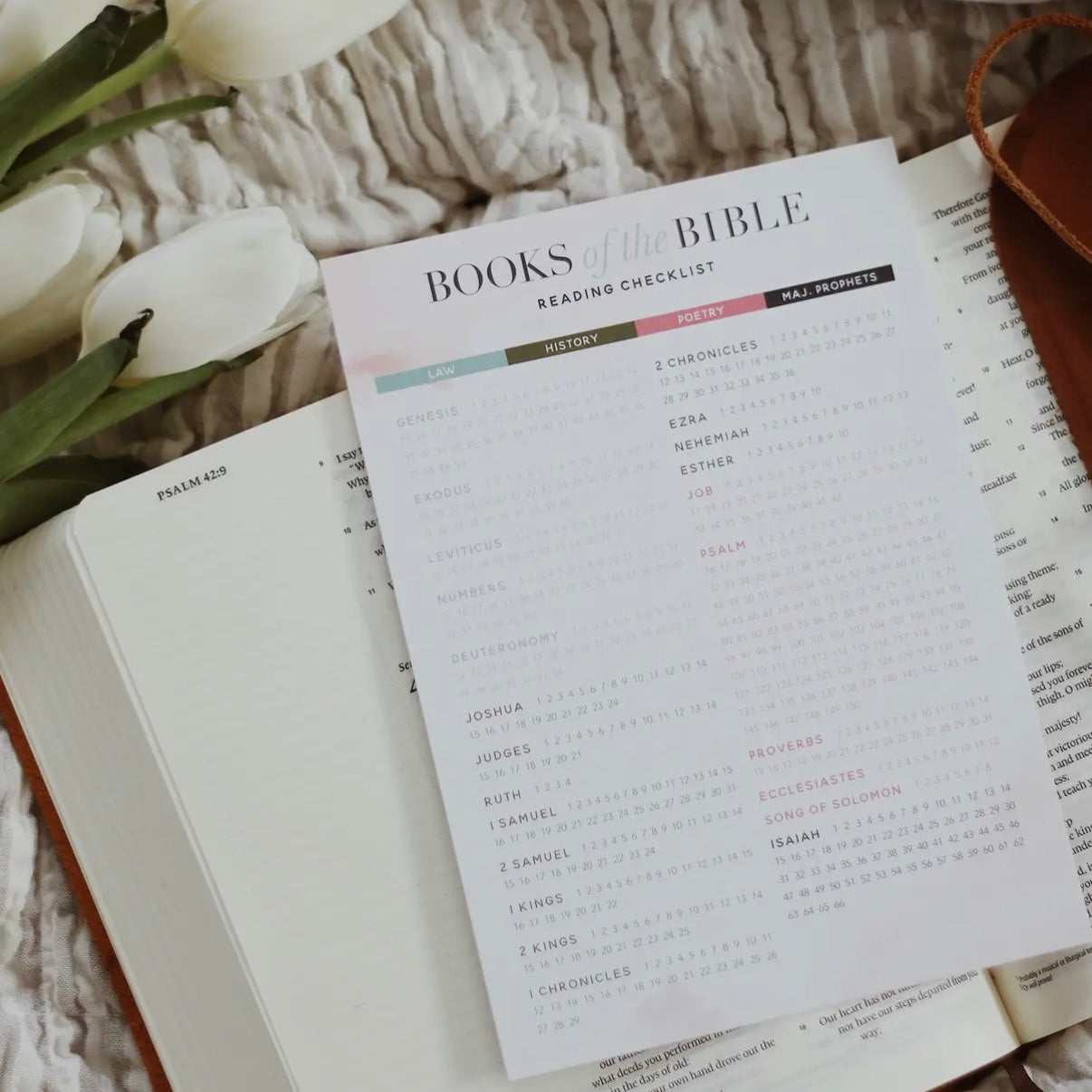 Books of the Bible Reading Checklist