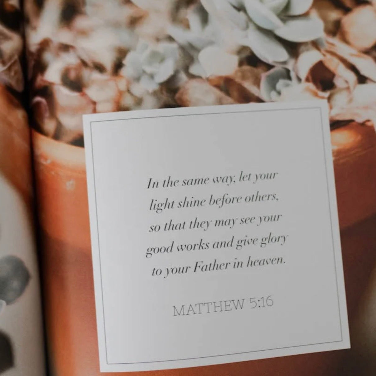 Bible Study | Sermon On The Mount