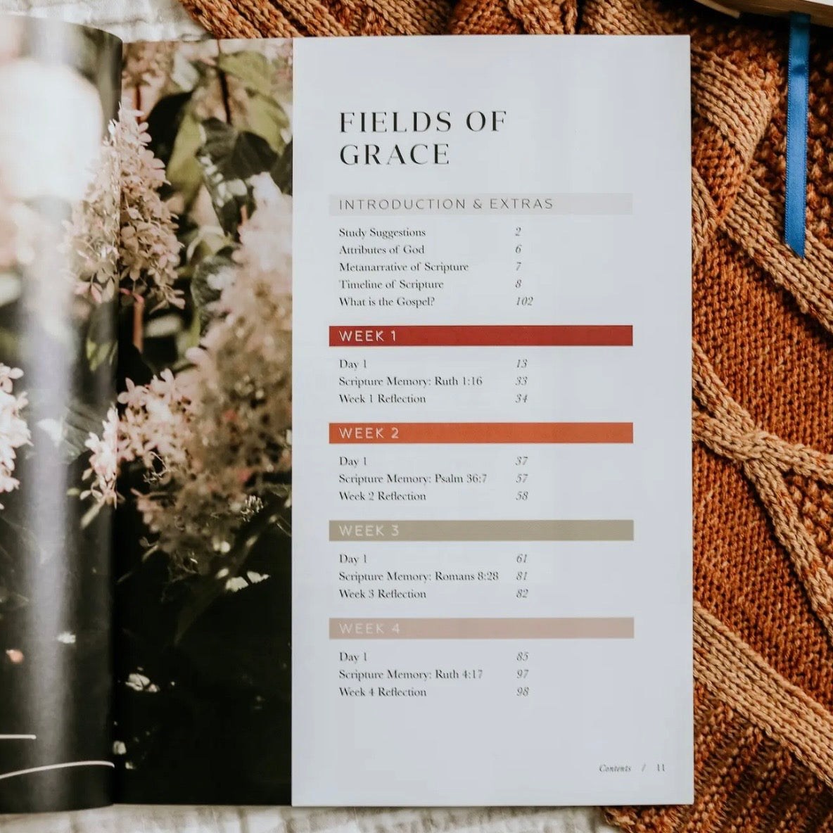 Bible Study | Ruth