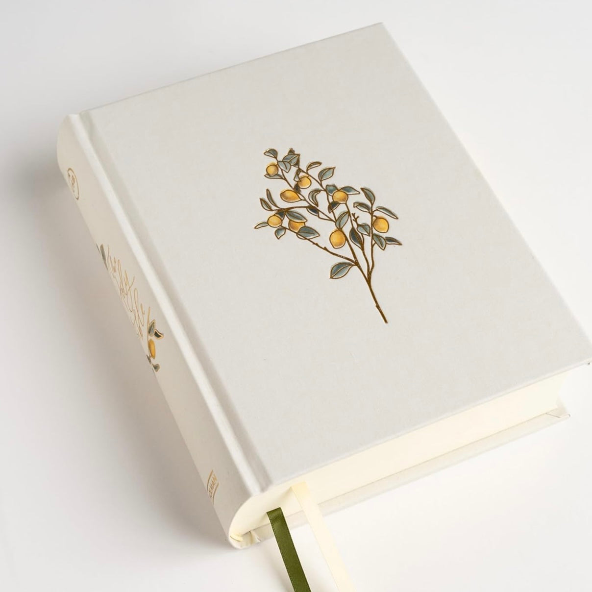 CSB Notetaking Bible | Lemons