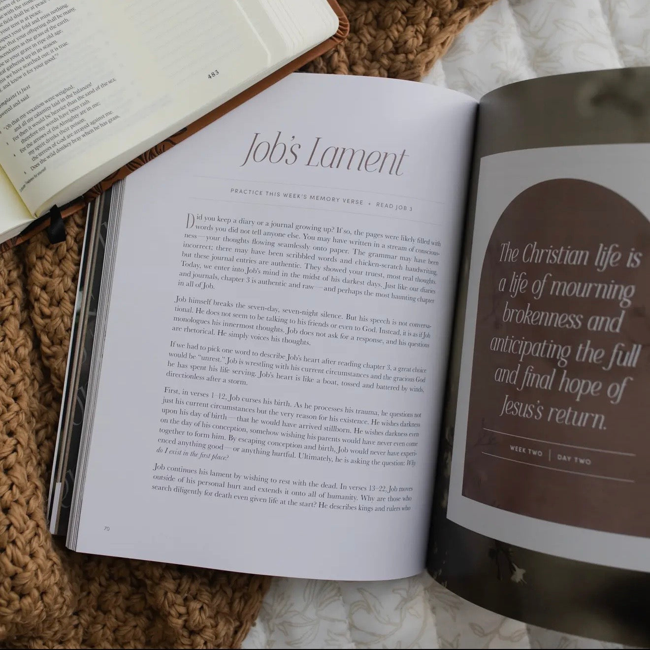 Sacred Suffering | A Study On the Book of Job